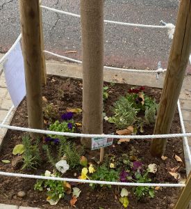 Guia de la Paeria, en col·laboració amb Escocells Lleida, per plantar flors en els&nbsp;escocells