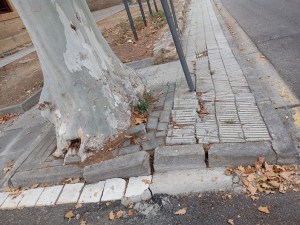 7 anys amb la voreres del Recorrido&nbsp;trencades