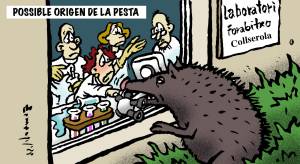 ermengol: 07/12/2025